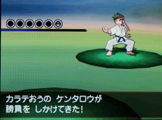Illustration for article titled Pokémon X/Y Might Feature a Transgender Character